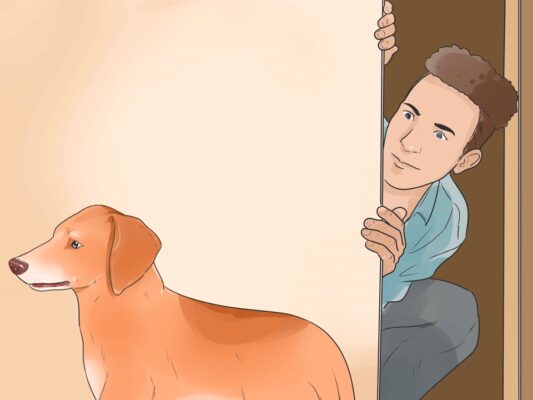 Make Your Wiener Dog Happy