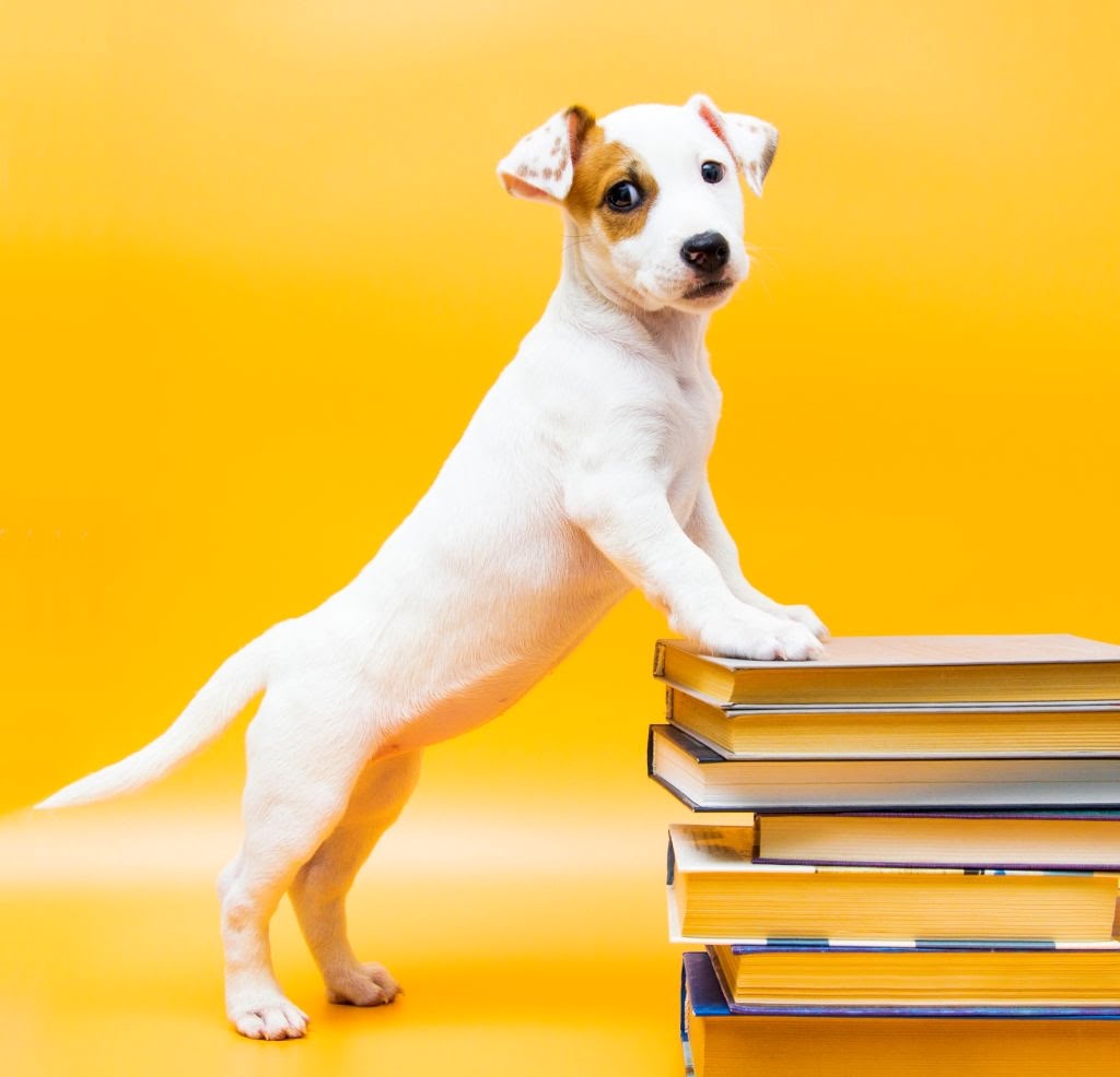 “Recommended Pet Books” Forum