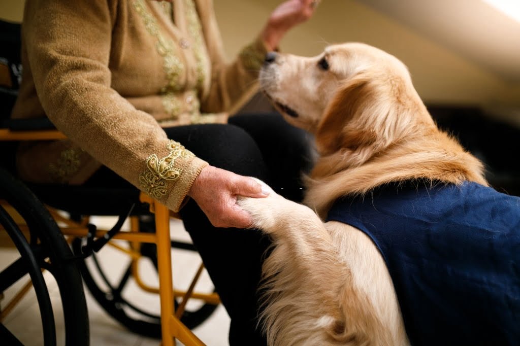 Pet Therapy” Forums