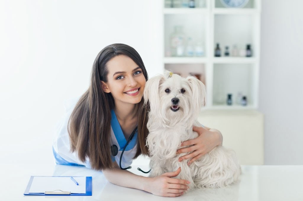 “Pet Welfare” Forum