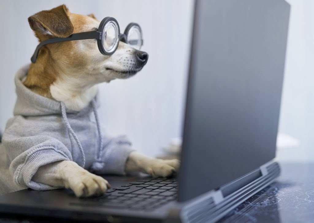 “Interesting Findings About Pets” Forum